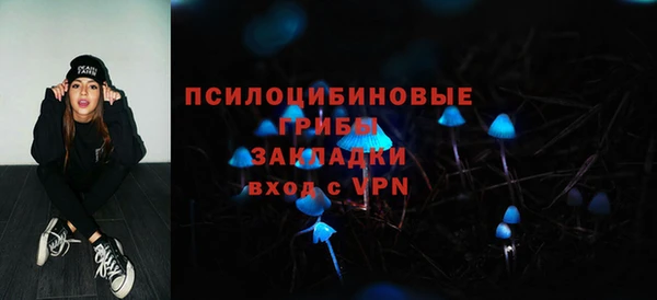 дмт Балахна