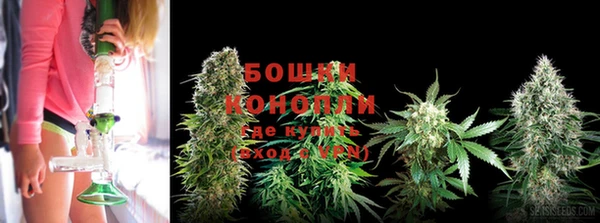 стафф Новокубанск