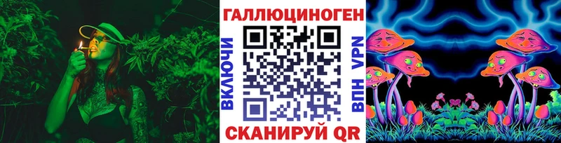 где купить наркоту  Славгород  Галлюциногенные грибы мицелий 